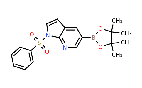 CAS 2058052-40-5 | 1-(phenylsulfonyl)-5-(4,4,5,5-tetramethyl-1,3,2-dioxaborolan-2-yl)-1H-pyrrolo[2,3-b]pyridine