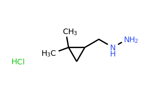 CAS 2059942-52-6 | [(2,2-Dimethylcyclopropyl)methyl]hydrazine hydrochloride