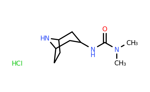 CAS 2060042-85-3 | 1-{8-azabicyclo[3.2.1]octan-3-yl}-3,3-dimethylurea hydrochloride