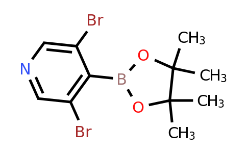 CAS 2064225-87-0 | 3,5-Dibromo-4-pyridineboronic acid pinacol ester