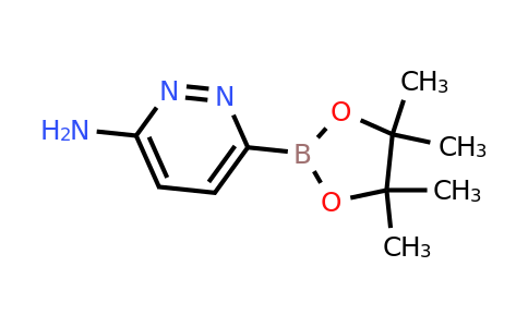 CAS 2085312-62-3 | 6-Aminopyridazine-3-boronic acid pinacol ester