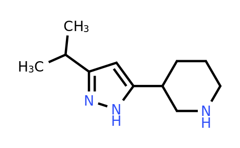 CAS 2089691-66-5 | 3-[3-(propan-2-yl)-1H-pyrazol-5-yl]piperidine