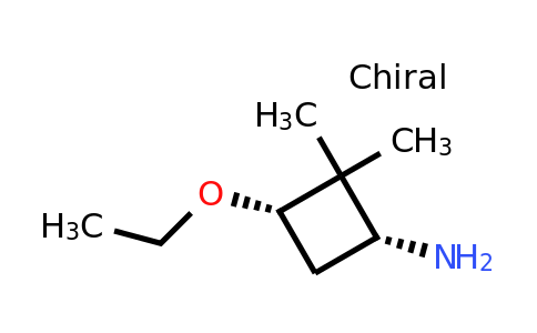 CAS 2090761-67-2 | (1R,3S)-3-ethoxy-2,2-dimethyl-cyclobutanamine