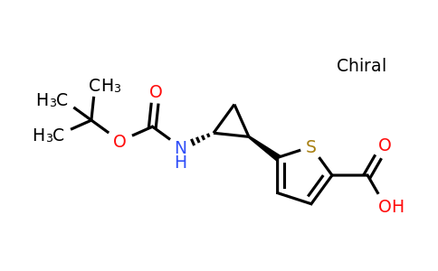 CAS 2092435-93-1 | 5-[trans-2-(tert-butoxycarbonylamino)cyclopropyl]thiophene-2-carboxylic acid