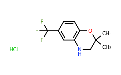 CAS 2094147-90-5 | 2,2-Dimethyl-6-(trifluoromethyl)-3,4-dihydro-2H-1,4-benzoxazine hydrochloride
