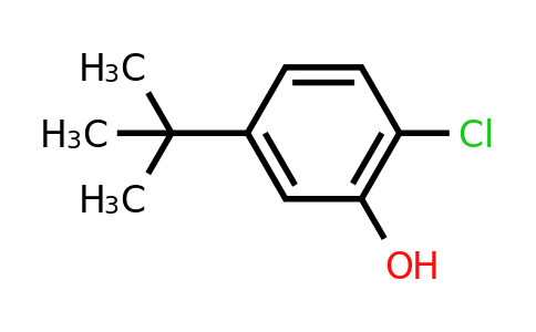 CAS 20942-69-2 | 5-Tert-butyl-2-chlorophenol