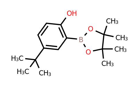 CAS 2095797-21-8 | 4-Tert-butyl-2-(4,4,5,5-tetramethyl-1,3,2-dioxaborolan-2-YL)phenol