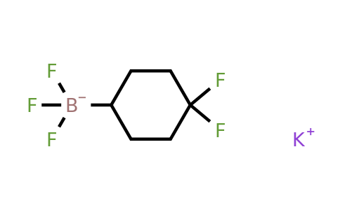 CAS 2095863-71-9 | potassium (4,4-difluorocyclohexyl)trifluoroboranuide