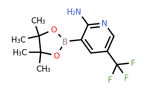 CAS 2096331-04-1 | 2-Amino-5-(trifluoromethyl)pyridine-3-boronic acid pinacol ester