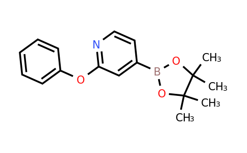 CAS 2096331-18-7 | 2-(Phenoxy)pyridine-4-boronic acid pinacol ester