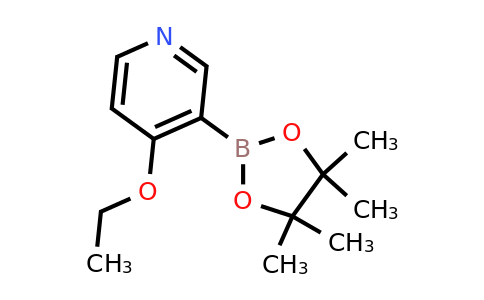 CAS 2096331-51-8 | 4-Ethoxypyridine-3-boronic acid pinacol ester