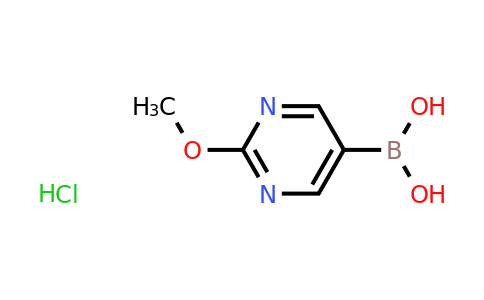 CAS 2096331-88-1 | (2-Methoxypyrimidin-5-yl)boronic acid hydrochloride