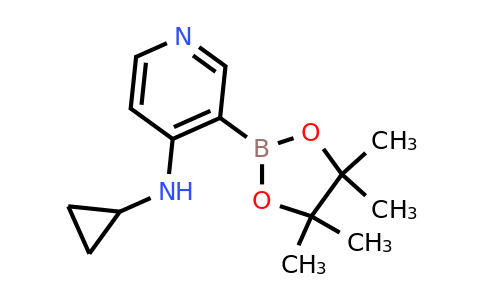 CAS 2096333-40-1 | 4-(Cyclopropylamino)pyridine-3-boronic acid pinacol ester
