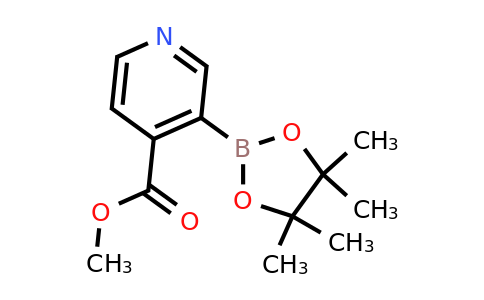 CAS 2096335-55-4 | 4-(Methoxycarbonyl)pyridine-3-boronic acid pinacol ester