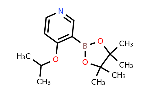 CAS 2096335-77-0 | 4-Isopropoxypyridine-3-boronic acid pinacol ester