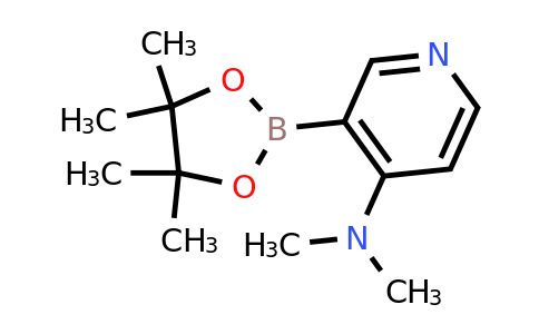 CAS 2096336-85-3 | 4-(Dimethylamino)pyridine-3-boronic acid pinacol ester