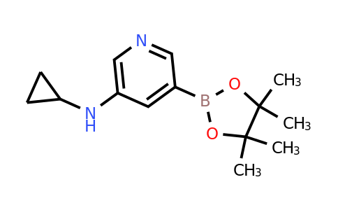 CAS 2096338-11-1 | 5-(Cyclopropylamino)pyridine-3-boronic acid pinacol ester