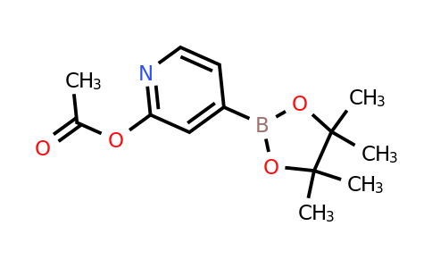 CAS 2096338-88-2 | 2-(Acetoxy)pyridine-4-boronic acid pinacol ester