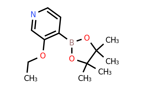 CAS 2096339-09-0 | 3-Ethoxypyridine-4-boronic acid pinacol ester