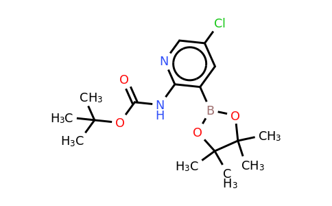 CAS 2096339-28-3 | Boc-2-amino-5-chloropyridine-3-boronic acid pinacol ester