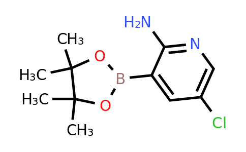 CAS 2096339-55-6 | 2-Amino-5-chloropyridine-3-boronic acid pinacol ester