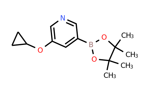 CAS 2096341-47-6 | 5-Cyclopropoxypyridine-3-boronic acid pinacol ester