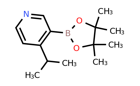 CAS 2096342-29-7 | 4-Isopropylpyridine-3-boronic acid pinacol ester