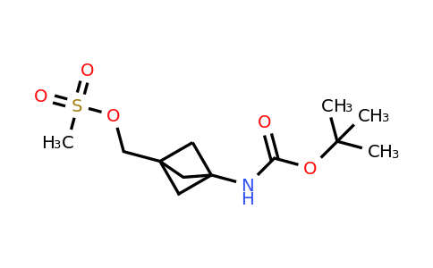 CAS 2096992-18-4 | [3-(tert-butoxycarbonylamino)-1-bicyclo[1.1.1]pentanyl]methyl methanesulfonate
