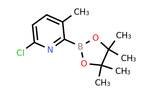 CAS 2096998-30-8 | 6-Chloro-3-methyl-2-(4,4,5,5-tetramethyl-1,3,2-dioxaborolan-2-YL)pyridine