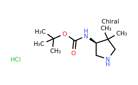 CAS 2097061-00-0 | (S)-(4,4-Dimethyl-pyrrolidin-3-yl)-carbamic acid tert-butyl ester hydrochloride