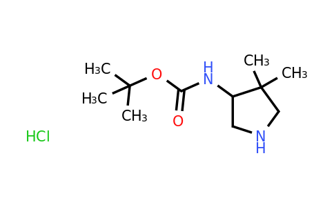 CAS 2097068-47-6 | (4,4-Dimethyl-pyrrolidin-3-yl)-carbamic acid tert-butyl ester hydrochloride