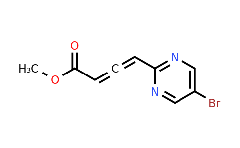 CAS 2097068-58-9 | 4-(5-Bromo-pyrimidin-2-yl)-buta-2,3-dienoic acid methyl ester