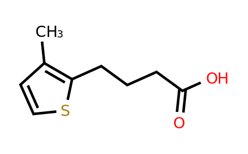 CAS 210097-89-5 | 4-(3-methylthiophen-2-yl)butanoic acid
