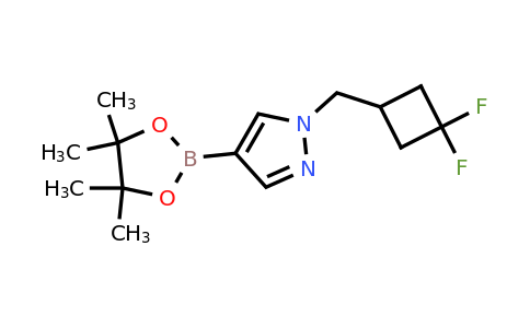 CAS 2101934-11-4 | 1-[(3,3-difluorocyclobutyl)methyl]-4-(tetramethyl-1,3,2-dioxaborolan-2-yl)-1H-pyrazole