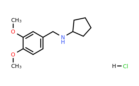 CAS 210291-83-1 | N-(3,4-Dimethoxybenzyl)cyclopentanamine hydrochloride