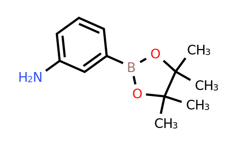 CAS 210907-84-9 | 3-Aminophenylboronic acid pinacol ester