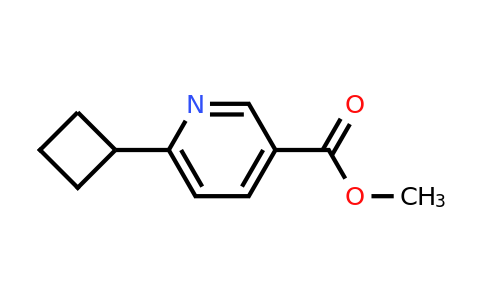 CAS 2109871-68-1 | methyl 6-cyclobutylpyridine-3-carboxylate