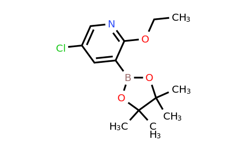 CAS 2121511-53-1 | 5-Chloro-2-ethoxy-3-(4,4,5,5-tetramethyl-1,3,2-dioxaborolan-2-YL)pyridine