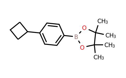 CAS 2121513-90-2 | 2-(4-cyclobutylphenyl)-4,4,5,5-tetramethyl-1,3,2-dioxaborolane