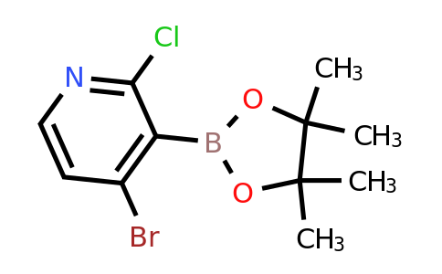CAS 2121514-27-8 | 4-Bromo-2-chloro-3-(4,4,5,5-tetramethyl-1,3,2-dioxaborolan-2-YL)pyridine