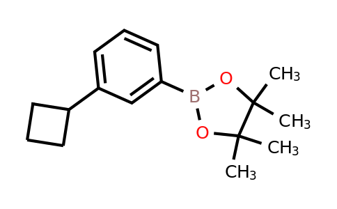 CAS 2121514-70-1 | 2-(3-cyclobutylphenyl)-4,4,5,5-tetramethyl-1,3,2-dioxaborolane