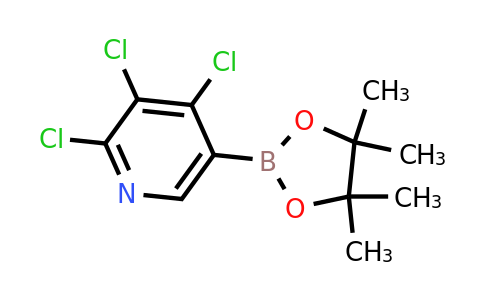 CAS 2121514-82-5 | 2,3,4-trichloro-5-(4,4,5,5-tetramethyl-1,3,2-dioxaborolan-2-yl)pyridine