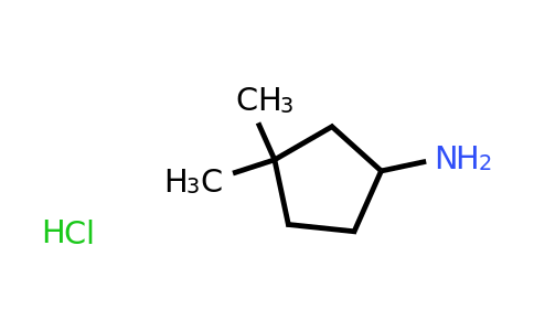 CAS 212382-62-2 | 3,3-Dimethyl-cyclopentylamine hydrochloride