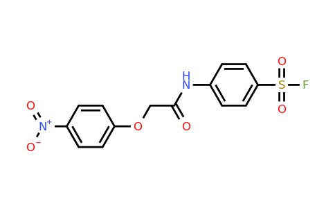 CAS 21315-95-7 | 4-(2-(4-Nitrophenoxy)acetamido)benzene-1-sulfonyl fluoride