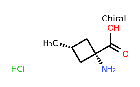 CAS 2137050-00-9 | cis-1-amino-3-methyl-cyclobutanecarboxylic acid;hydrochloride