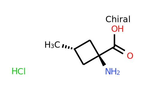 CAS 2137050-05-4 | trans-1-amino-3-methyl-cyclobutanecarboxylic acid;hydrochloride