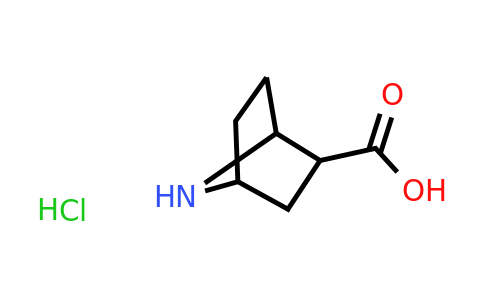 CAS 2137883-62-4 | 7-azabicyclo[2.2.1]heptane-2-carboxylic acid hydrochloride