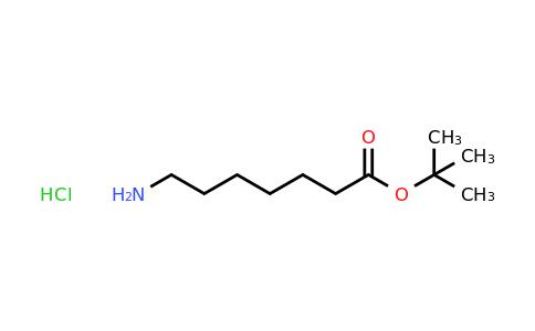 CAS 2138066-00-7 | tert-butyl 7-aminoheptanoate hydrochloride