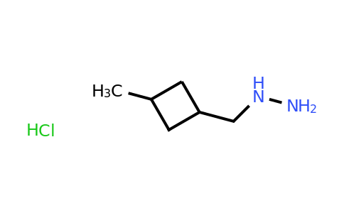 CAS 2138103-93-0 | [(3-methylcyclobutyl)methyl]hydrazine hydrochloride