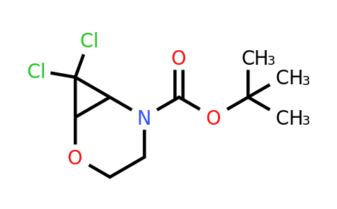 CAS 2138112-98-6 | tert-butyl 7,7-dichloro-2-oxa-5-azabicyclo[4.1.0]heptane-5-carboxylate